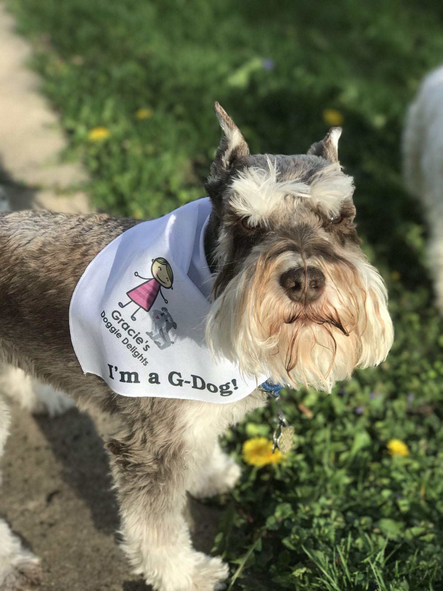 Gracie's Doggie Delight G-Dog Bandana