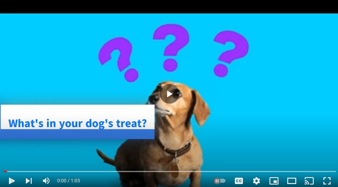 Load video: video showing Gracie&#39;s treats have only 1 ingredient